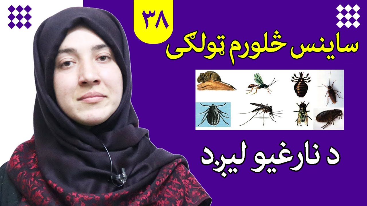 The patient lesson | What are the cause of illness?