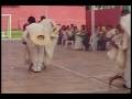 videos de MINCHANZAMAN MARINERA NORTEÑA EN LAREDO - PERU