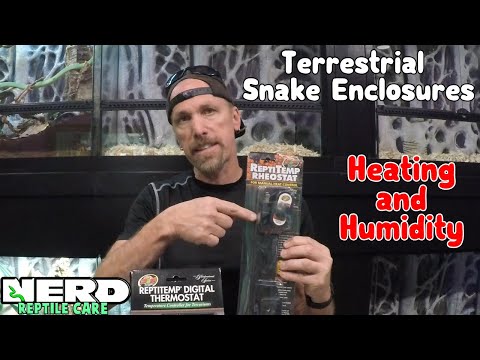 YouTube reptile video