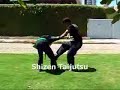 Tribute to Bujinkan