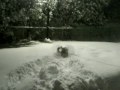 Koch in snow2