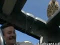 Cheetah vs Car