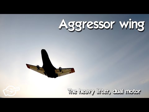 The Aggressor swept forward wing - from BangGood