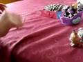 littlest pet shops go to the remembrance day parade