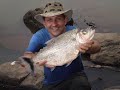 \"MATRINCH� NO FLY\"  * CIDORF * AGUA BOA - MT