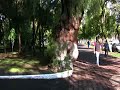 Morazan Park