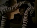 Video 0033