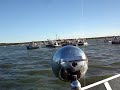 Bristol Bay Dingbats