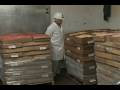 videos de K-9 Kraving