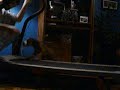 my 10week old pitbull puppy on a treadmill