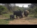 Ultimate Killers: Black Rhino Charge