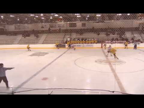 24-25 Season (first 29 games) Highlights | Brandon Petrie 2005 Dman | Shoots Right #7 Delta Ice Hawks