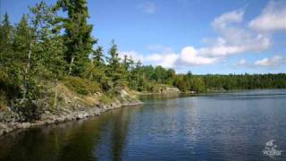 CHEB AMROU-TAYARA DARTHA BIYA