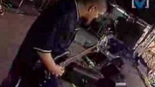 Soulfly - Tribe (Live)