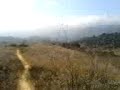 Talepop trail run