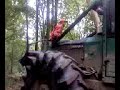debardage de bois debardage de bois