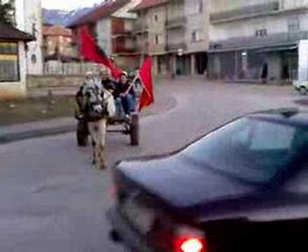Dibra feston pavarsine e kosoves 1