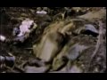 we-blast-truk-jap-fortress-19440330-1944.html