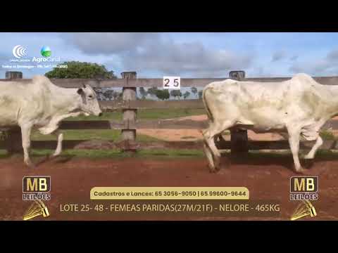 533� LEIL�O VIRTUAL MB LEIL�ES