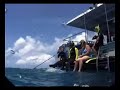 coral reefs