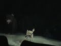 sezon na misia sampelek sezon na misia sampelek