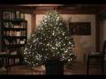 Making Christmas Tree