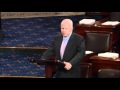 McCain Calls for Air Strikes in Syria