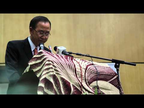 millennium development goals - United Nations, Maputo (Mozambique), 20 May 2013 - Secretary-General Ban Ki-moon today emphasized the importance of countries stepping up their efforts to ac...