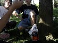 Mentos na Coca