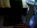 videos de kevin 31208