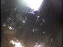 PeTA Turkey Farms Investigation :: Watch at Your Own Risk PeTA Turkey Farms Investigation :: Watch at Your Own Risk