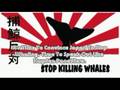 Anti-Japanese Whaling