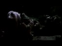 The Dark Crystal