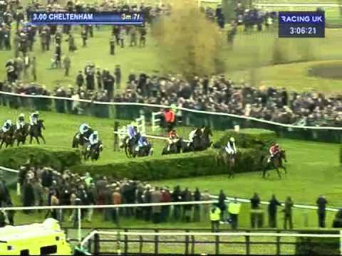 racing cheltenham