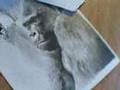 ACEO Speed Gorilla Pencil Drawing