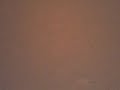 rihanna-umbrella-sung-by-my-11-year-old-cousin.html