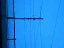 stoplight soundtrack