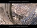 Wolf Spider Abduction Wolf Spider Abduction