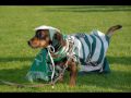 Video ansehen