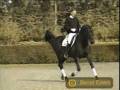 videos de Horses:Anything More Beautiful?