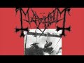 carnage-mayhem