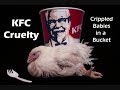 KFC Cruelty - join our demo's in Norfolk