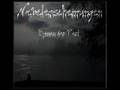 Nebelerscheinungen-Hymnen der pest (lite mix)