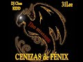 Cenizas de fénix - LVDM