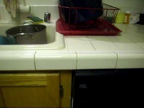 how to get ants out of a dishwasher