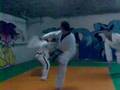 flexibilidade de vandamme