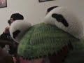 kermit gettin high