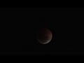 Total eclipse of the Moon