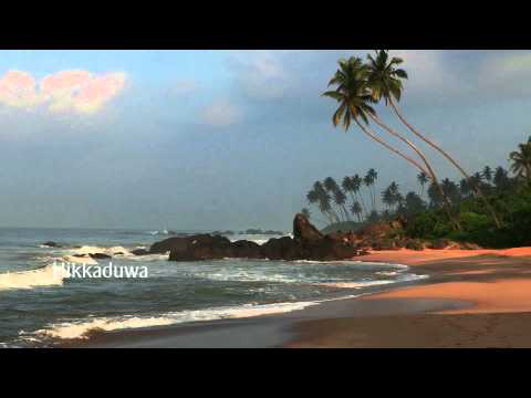 golden beaches - 