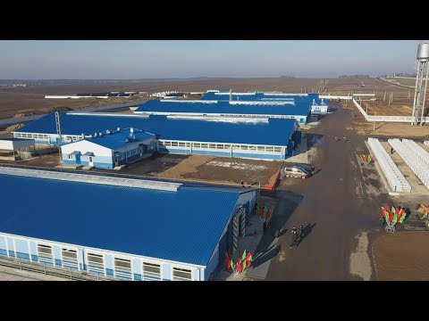В Мозырском районе реализуют программу продовольственной безопасности видео